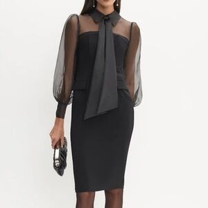 Elegant Black Sheer Sleeve Dress